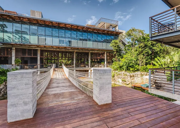 Classy 2br On Private Cenote Big Gym Roof Pool *